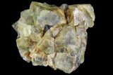 Yellow/Green Cubic Fluorite Crystal Cluster - Morocco #82801-1